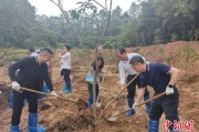 安陆广州已打造首批32处“绿美宗教活动场所”