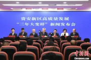 安陆贵安新区：突出算力优势布局 构建中国领先的智算高地