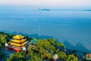 安陆人这一辈子，一定要去岳阳过次端午！